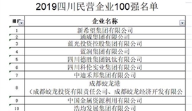 德勝集團位列 2019四川省民營企業100強第5位