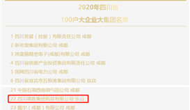 集團(tuán)位列2020四川省100戶大企業(yè)大集團(tuán)名單第22位